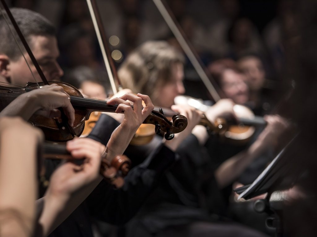 violins, musicians, orchestra-1838390.jpg